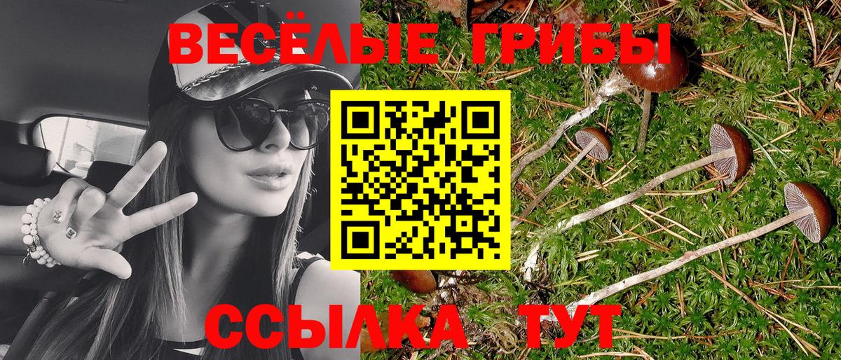 Лангепас  Галлюциногенные грибы Psilocybe  цена наркотик  Вход с VPN 